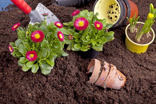 Gardeners Wanstead applying safe working practices in a residential garden