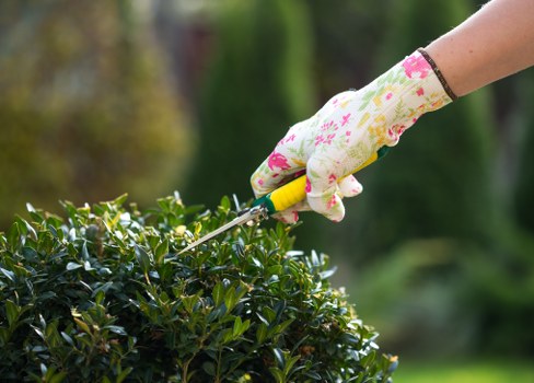 Gardening quote assessment for a Wanstead property garden