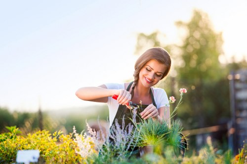 Free quote planning for garden maintenance in Wanstead