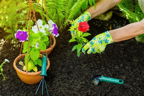 Gardening services in Wanstead for a tidy residential garden
