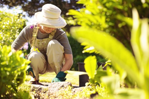 Professional hedge trimming in Wanstead for a neat garden boundary
