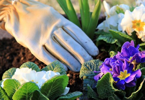 Garden waste being sorted for recycling in Wanstead