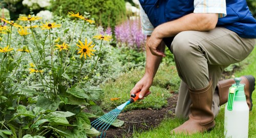 Soft landscaping and garden improvements for Wanstead homes