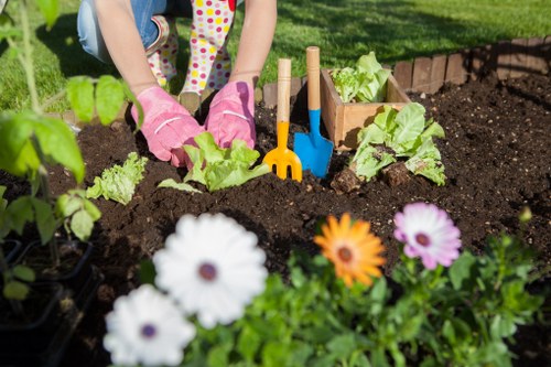 Professional Wanstead garden care focused on plant health