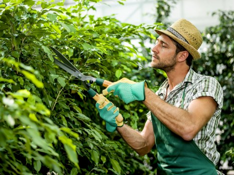 Seasonal gardening services in Wanstead for healthy outdoor spaces