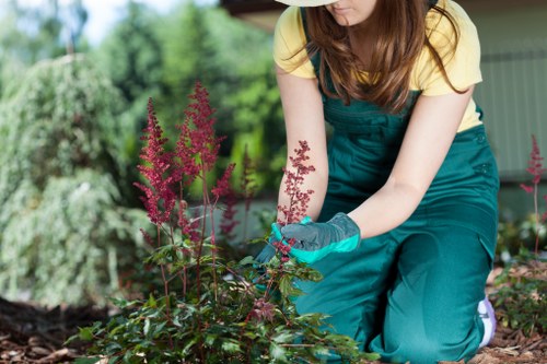 Example of garden clearance pricing for a residential property