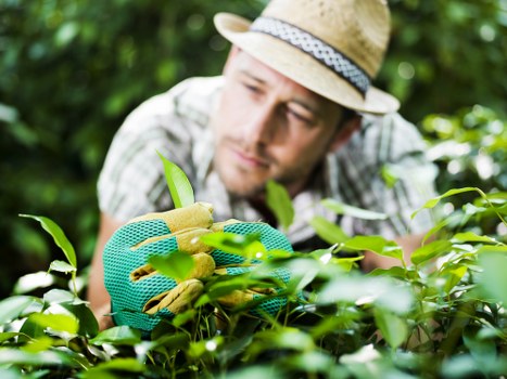 Recycling and waste separation for local garden maintenance