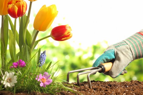 Seasonal fertilising and lawn treatment in Wanstead