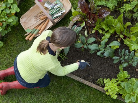Modern landscape gardening in Wanstead featuring layered planting and lawn areas