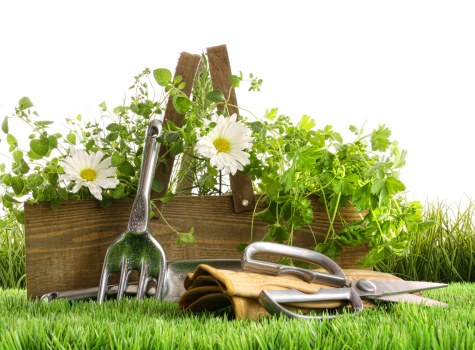 Charitable reuse of usable garden materials