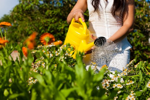 Professional garden maintenance in Wanstead with lawn and hedge care