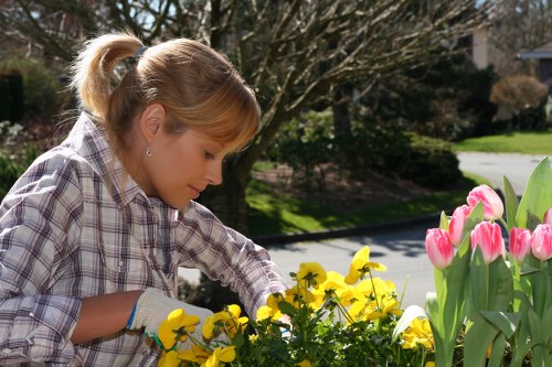 Reliable gardeners in Wanstead supporting attractive outdoor spaces