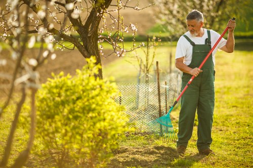 Freshly cut grass in a Wanstead property garden