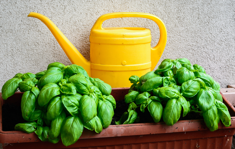 garden care garden