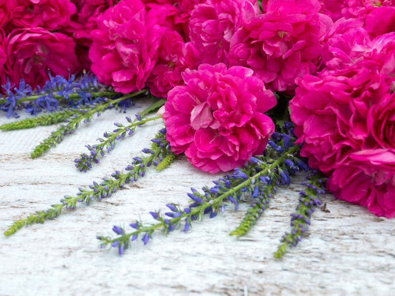 irrigation system garden